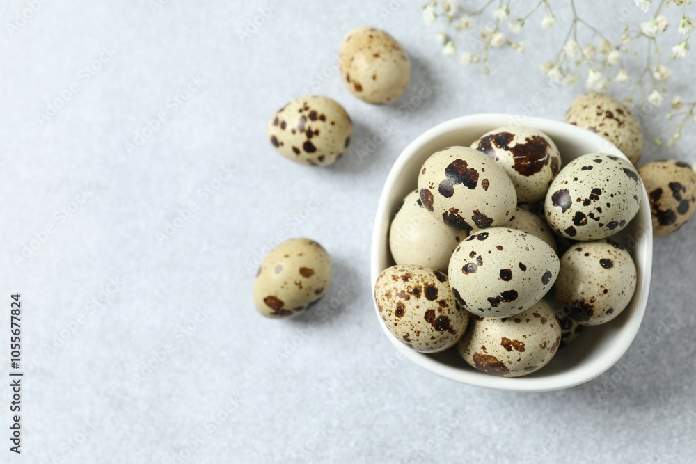 Quail eggs in a plate on gray background Quail eggs in a plate on gray background