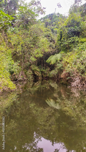 Small cascade  in the mountains of Minas Gerais, Brazil. The name is Serra da Calçada and it is next to the city of Belo Horizonte