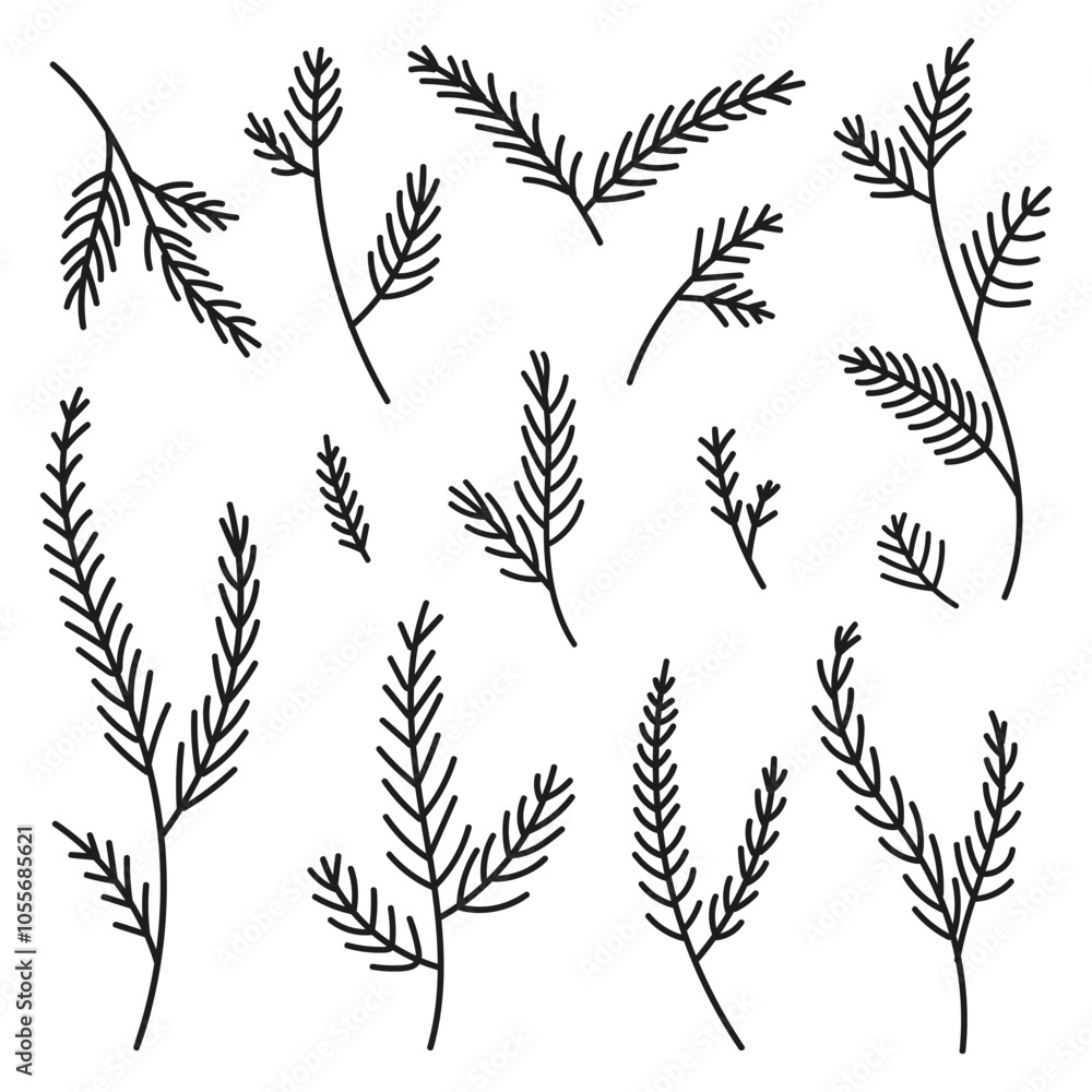 Hand drawn set evergreen tree branches. Conifer black branches isolated on a white background. Minimalistic linear elements. Vector illustration