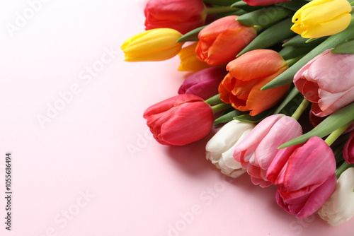 Beautiful tulips on colored background