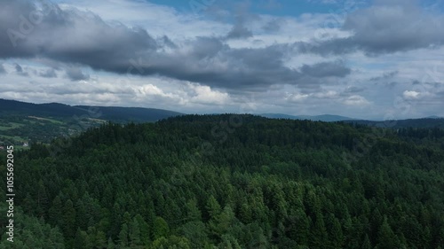 Flying over a dense forest in the mountains. Mavic 3