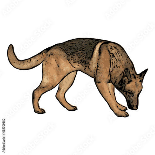 German Shepard dog vector animal ilustration isolated template 