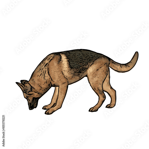German Shepard dog vector animal ilustration isolated template 