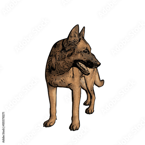 German Shepard dog vector animal ilustration isolated template 