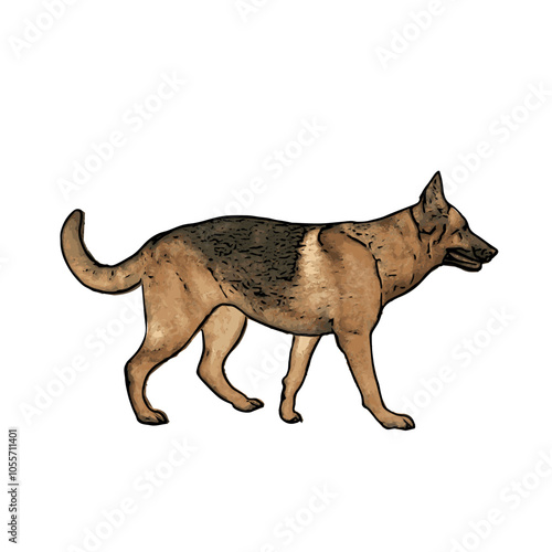 German Shepard dog vector animal ilustration isolated template 