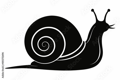 Sea snail silhouette vector illustration, snail icon symbol