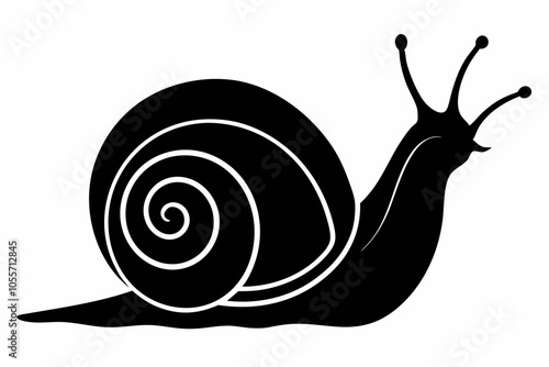 Sea snail silhouette vector illustration, snail icon symbol