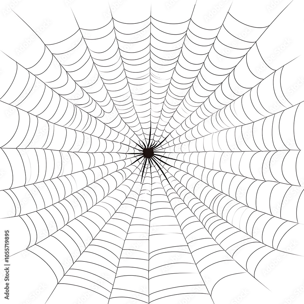Obraz premium A cartoon spider web on a white background.