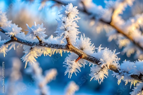 Close-up of delicate frost crystals covering a bare tree branch, icy, nature, hoarfrost