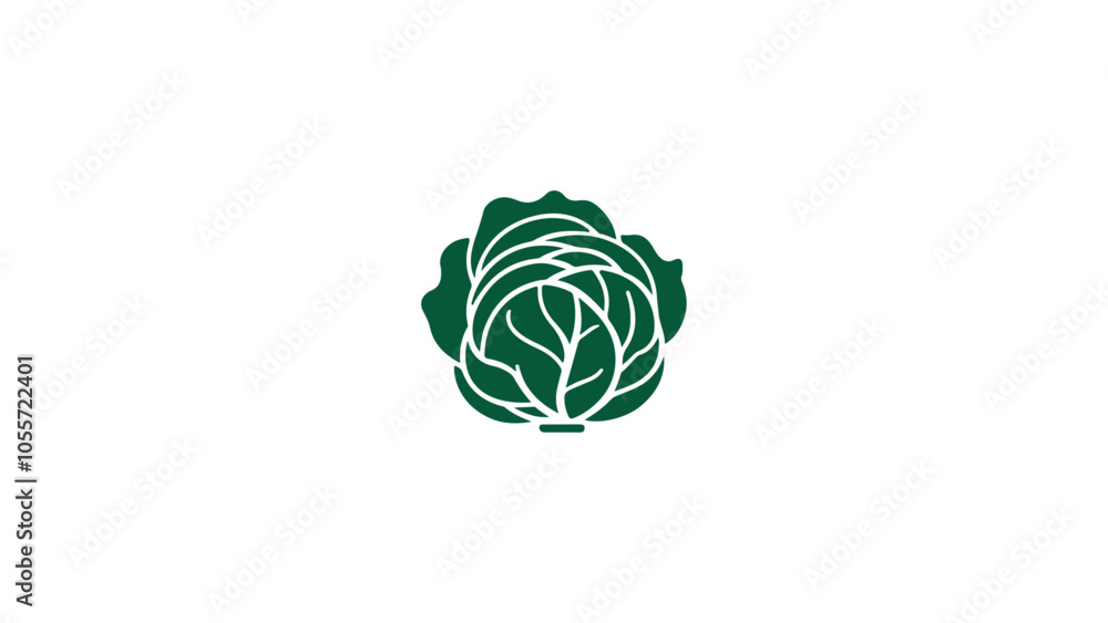 simple green cabbage shape vector illustration simple green cabbage shape vector illustration