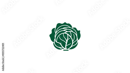 simple green cabbage shape vector illustration