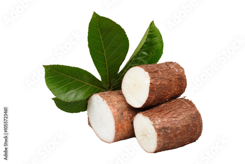 Obraz na płótnie Cuts of cassava tubers and their leaves isolated transparent