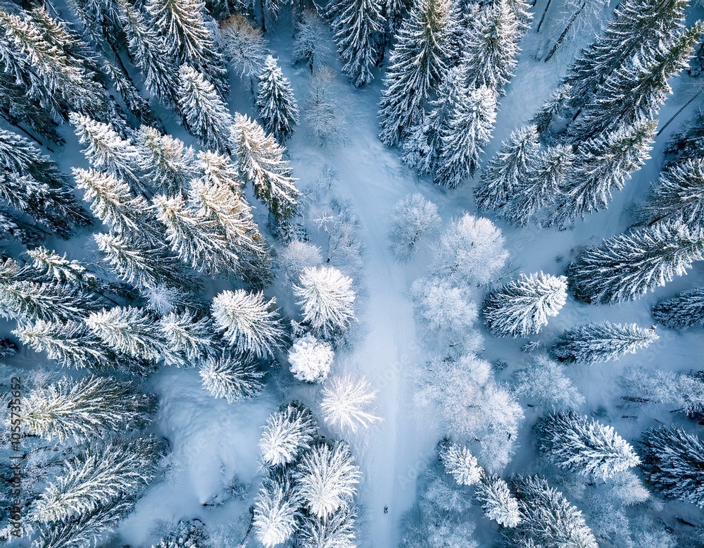 Aerial view of winter forest with snow covered everywhere. Winter landscape top view Aerial view of winter forest with snow covered everywhere. Winter landscape top view