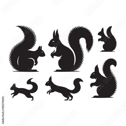 Set of squirrel silhouette on white background