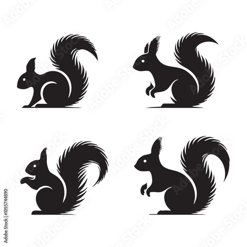 Set of squirrel silhouette on white background