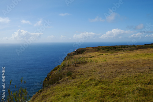 Obraz na płótnie cliffs of the Ponta do Pargo Lighthouse Viewpoint; viewpoint is located at Ponta da Vigia, the westernmost cape of the island (Madeira, Portugal) w salonie
