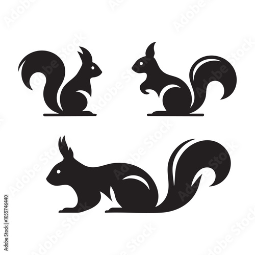 Set of squirrel silhouette on white background