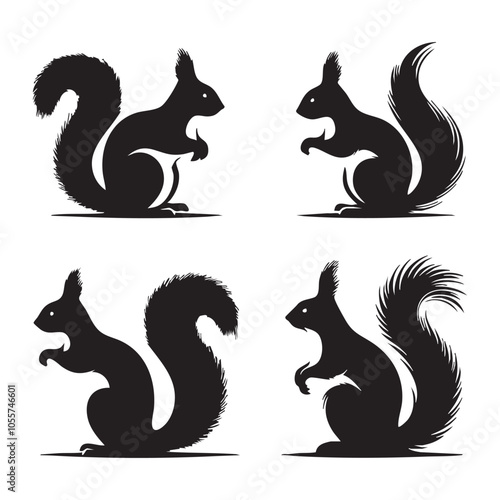 Set of squirrel silhouette on white background