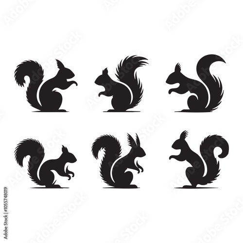 Set of squirrel silhouette on white background