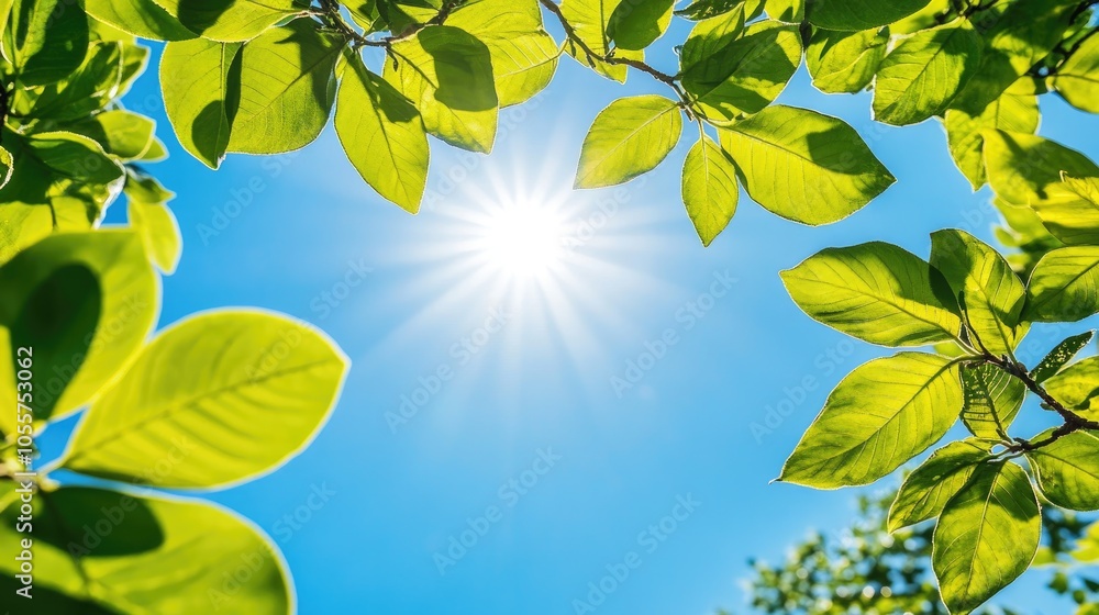 Vibrant green foliage set against a bright blue sky illuminated by sunlight Vibrant green foliage set against a bright blue sky illuminated by sunlight