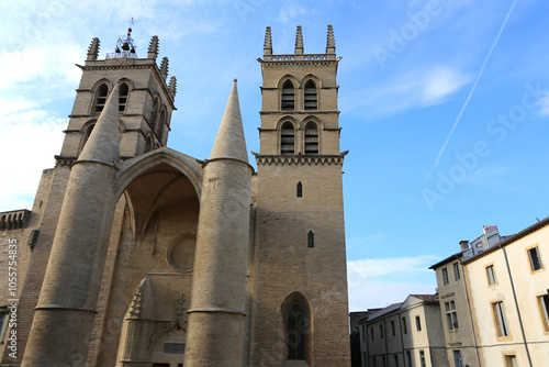 Cathédrale-forteresse Gothique  Saint-pierre de Montpellier en France photo