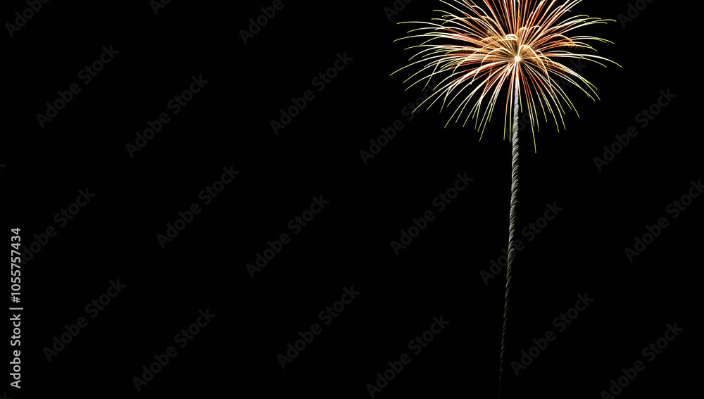 A vibrant firework bursting in the night sky, creating a festive atmosphere. A vibrant firework bursting in the night sky, creating a festive atmosphere.