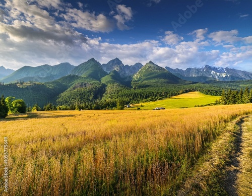 Dramatic sky looking at the High Tatras from Pass over Lapszanka. Lapszanka,