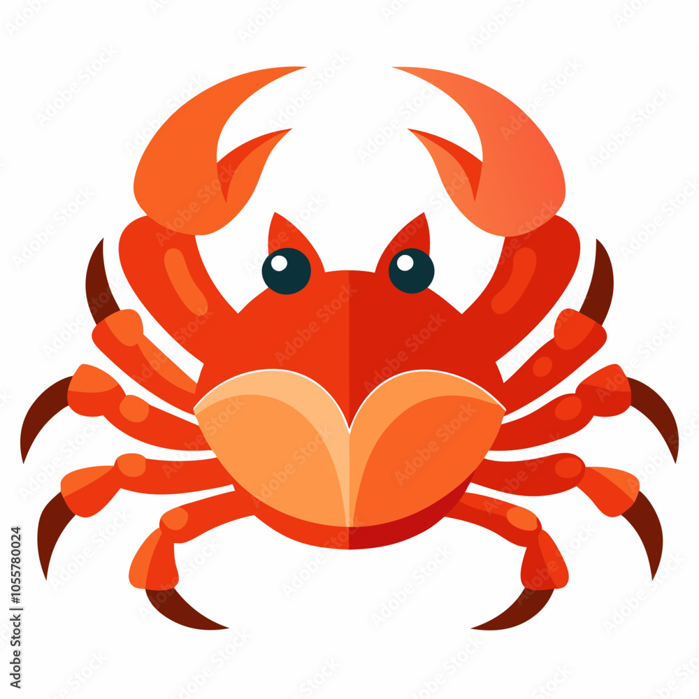 red crab isolated on white red crab isolated on white