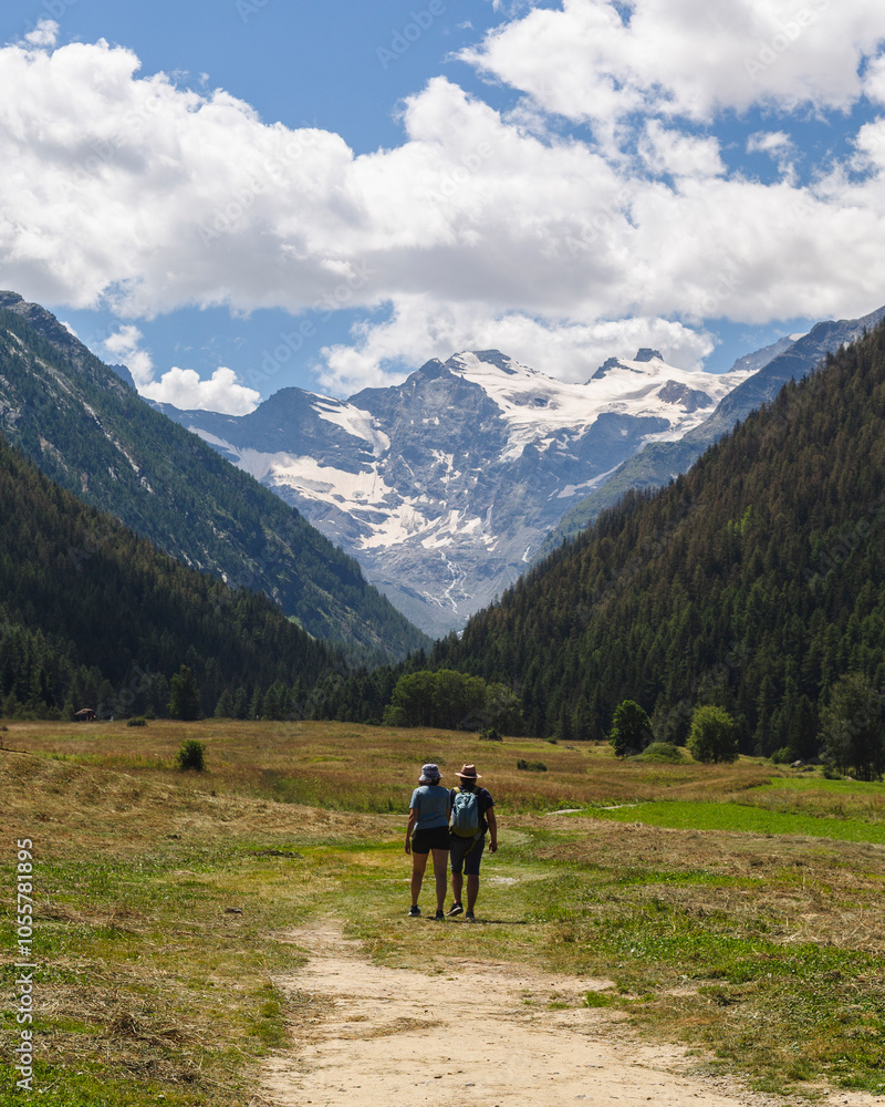View of majestic mountains and a serene trail in the picturesque National Park of Grand Paradise, Cogne, Italy. View of majestic mountains and a serene trail in the picturesque National Park of Grand Paradise, Cogne, Italy.