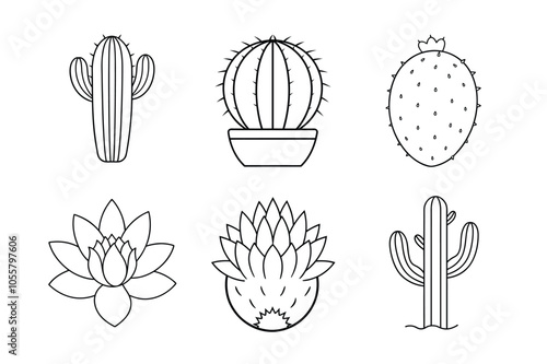 Minimalist Cacti Line Art Bundle – Saguaro, Prickly Pear, Barrel, Organ Pipe, Hedgehog, and Cactus Flower