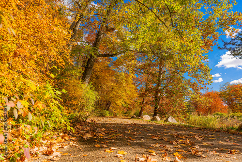 Autumn in Milham park, Kalamazoo, Michigan  photo