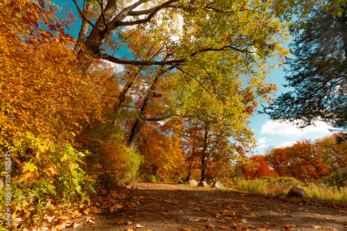 Autumn in Milham park, Kalamazoo, Michigan  photo