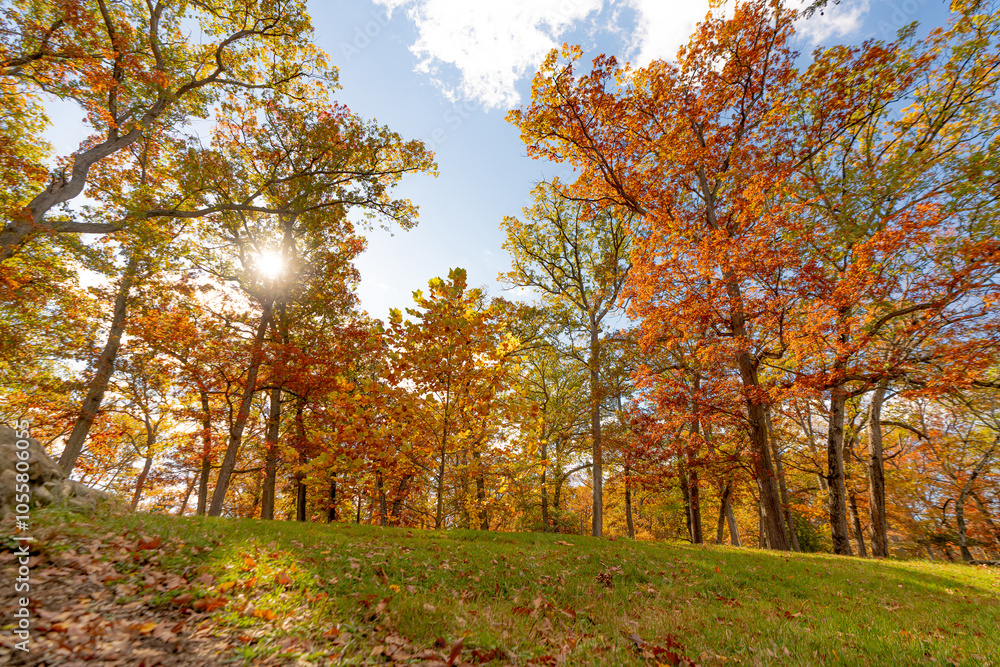 Autumn in Milham parkAutumn in Milham park, Kalamazoo, Michigan , Kalamazoo, Michigan Autumn in Milham parkAutumn in Milham park, Kalamazoo, Michigan , Kalamazoo, Michigan