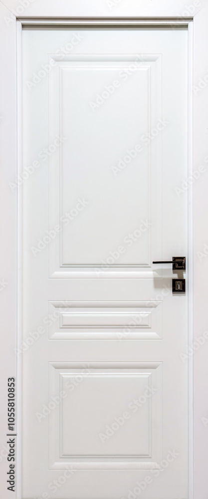 Fototapeta premium Interior white wooden door with lock
