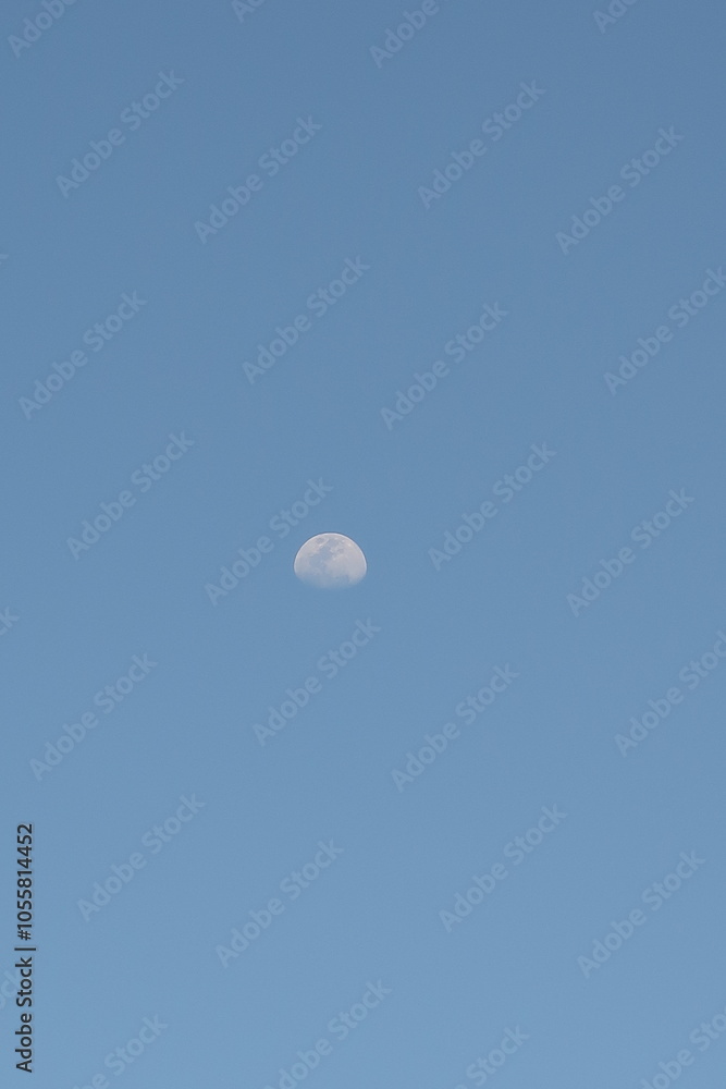 Beautiful clear moon during the day in Australia Beautiful clear moon during the day in Australia