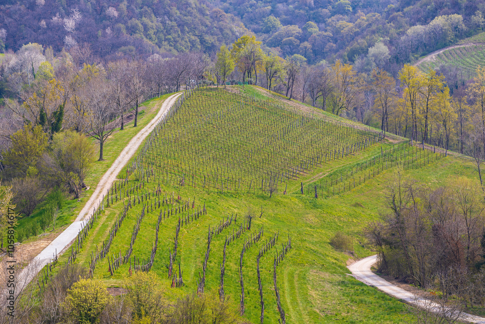 Monfumo hills