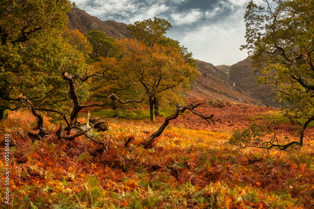 Beautiful autumnal landscape in Lake District National Park. England, UK Beautiful autumnal landscape in Lake District National Park. England, UK
