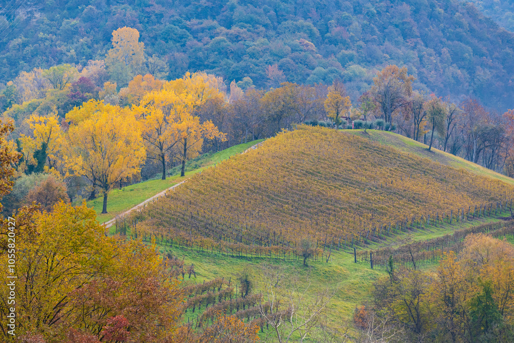 Monfumo hills