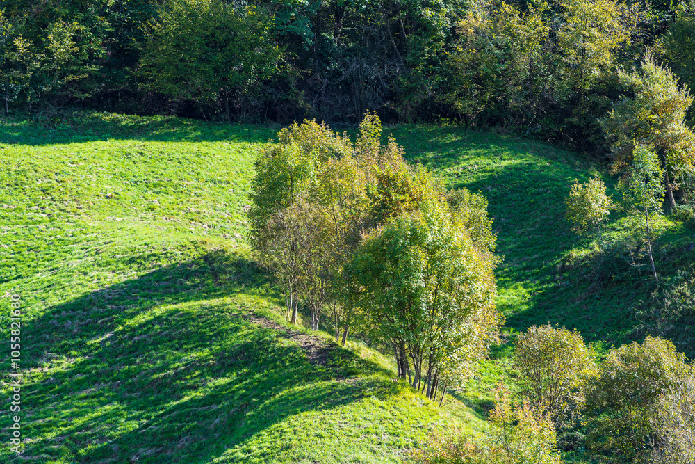 Monfumo hills