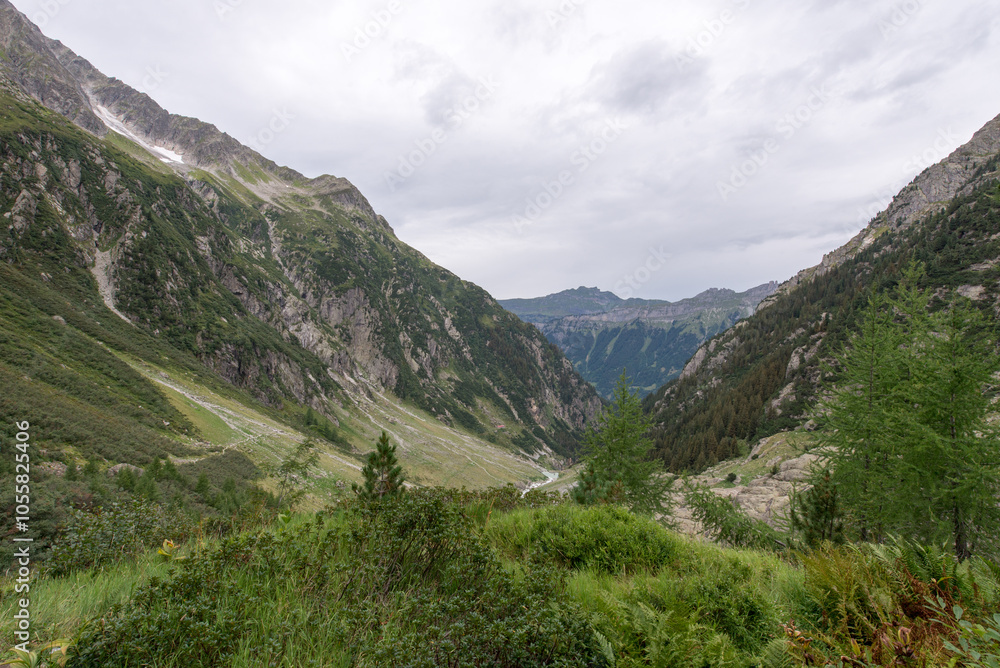 Naklejka premium Trift river valley, Switzerland. The Trift river is a mountain river rising from the Trift glacier in the canton of Bern.
