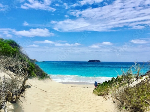 Saline Beach in St. Barts photo