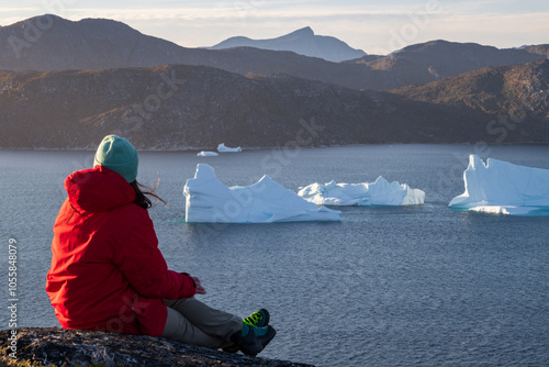 View of montains and icebergs from Uunartoq island (South Greenland) photo