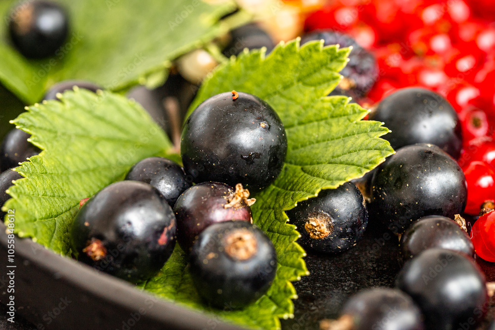 Organic Fresh Black Currants on fresh green leaves close up. Ribes nigrum, organic berries mix, cropped, close up Organic Fresh Black Currants on fresh green leaves close up. Ribes nigrum, organic berries mix, cropped, close up