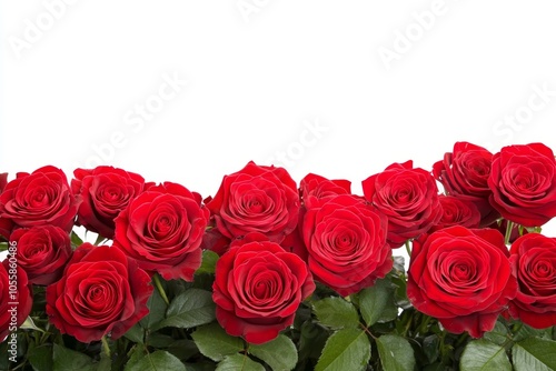 Happy Valentine's Day,Red roses are placed on a gray wooden background.There is plenty of space to add your own messages or images to create personalized cards or social media posts.