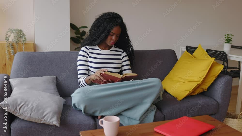 Relaxed young adult Latin American woman reading a book sitting on sofa at home. Happy millennial black female covered with a blanket resting enjoying literature on couch Relaxed young adult Latin American woman reading a book sitting on sofa at home. Happy millennial black female covered with a blanket resting enjoying literature on couch