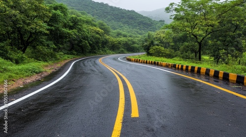 Winding Road Through Lush Green Forest After Rain