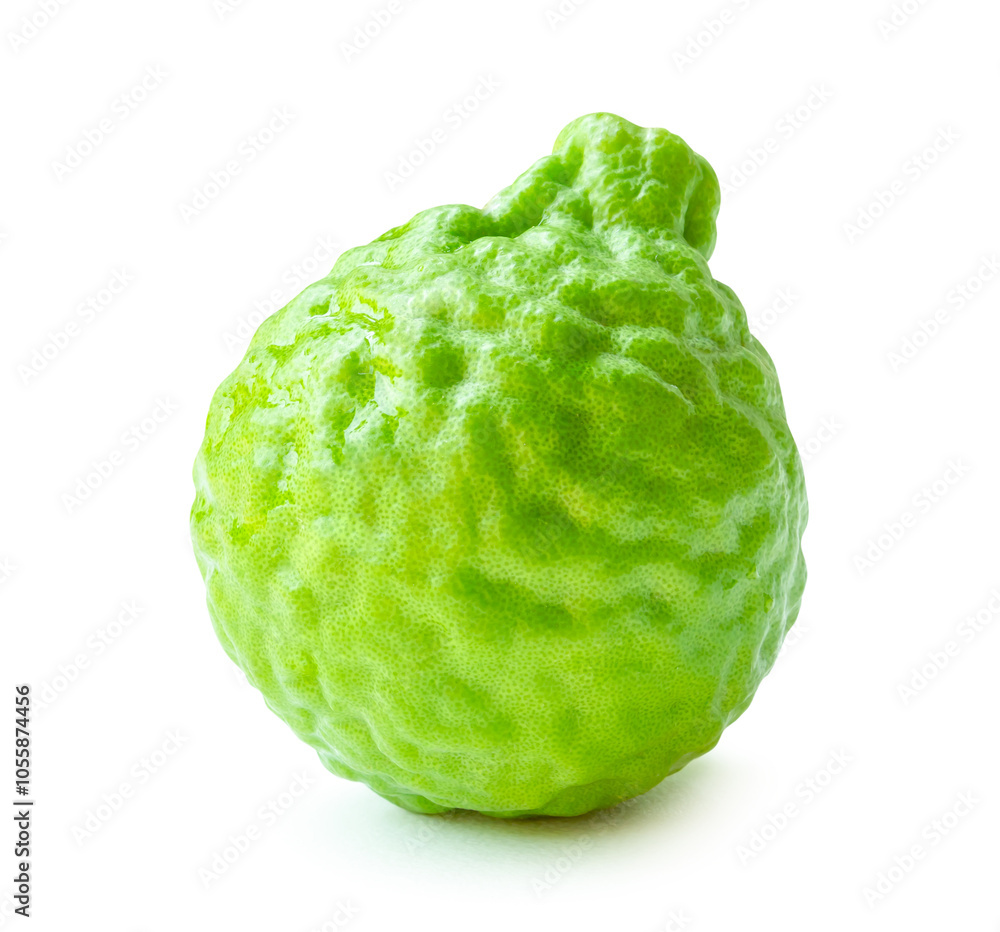 Obraz premium Side view of single fresh bergamot fruit or kaffir lime isolated on white background with clipping path