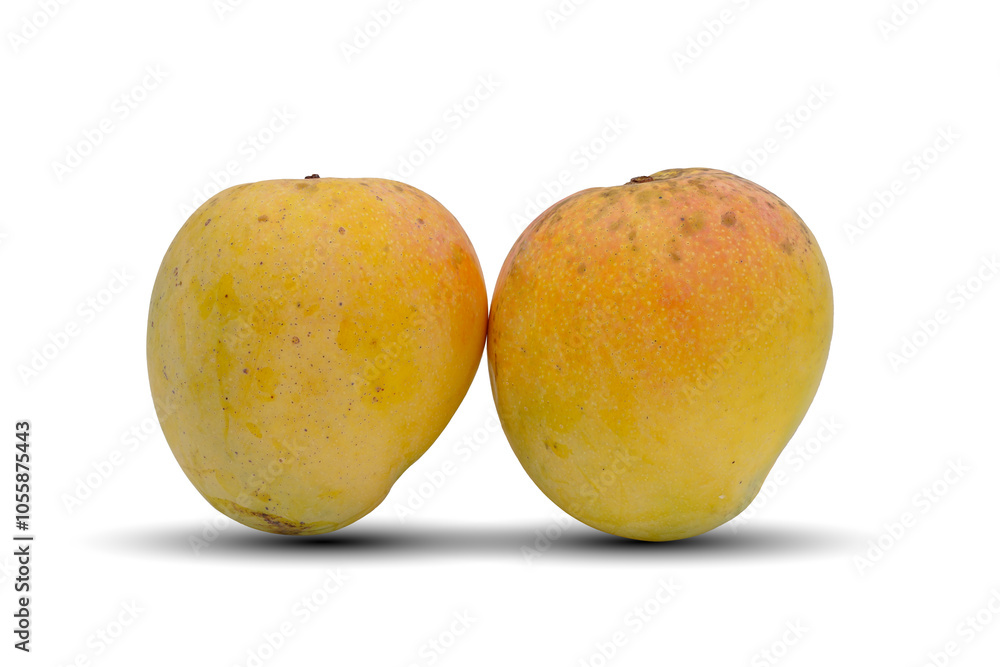 mango fruit isolated on white background. This has clipping path. mango fruit isolated on white background. This has clipping path.