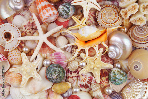  Seashells with different starfishes and pearls photo