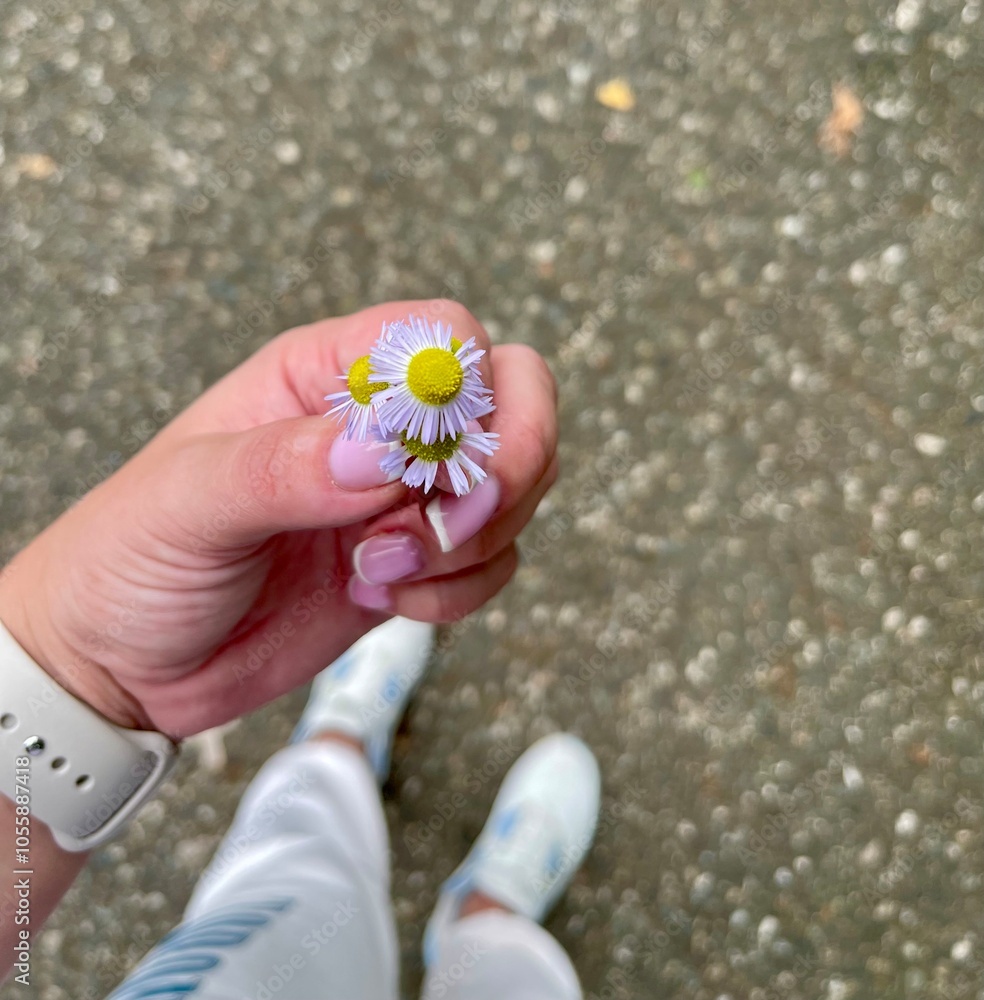 a man holding a daisy in his hand a man holding a daisy in his hand